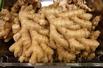 Non Gmo Fresh Ginger From Peru (1)
