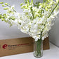 Premium Cut White Orchids (20 stems with Vase) (Support Small Business)