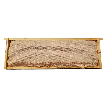 Pure Southern Honey's Raw Honeycomb on Wooden Frame (apx. 4 lbs) American Made