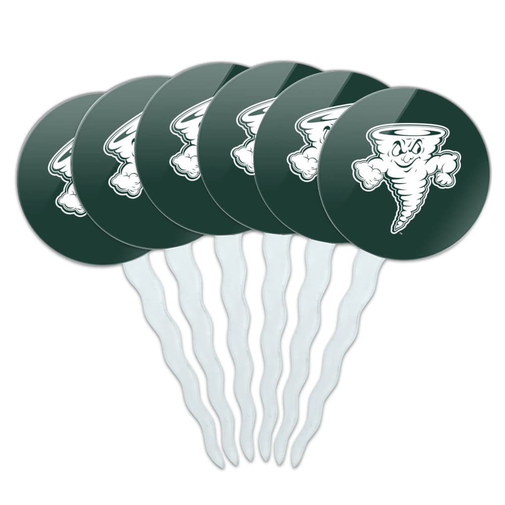 Lake Erie College Secondary Logo Cupcake Picks Toppers Decoration Set of 6