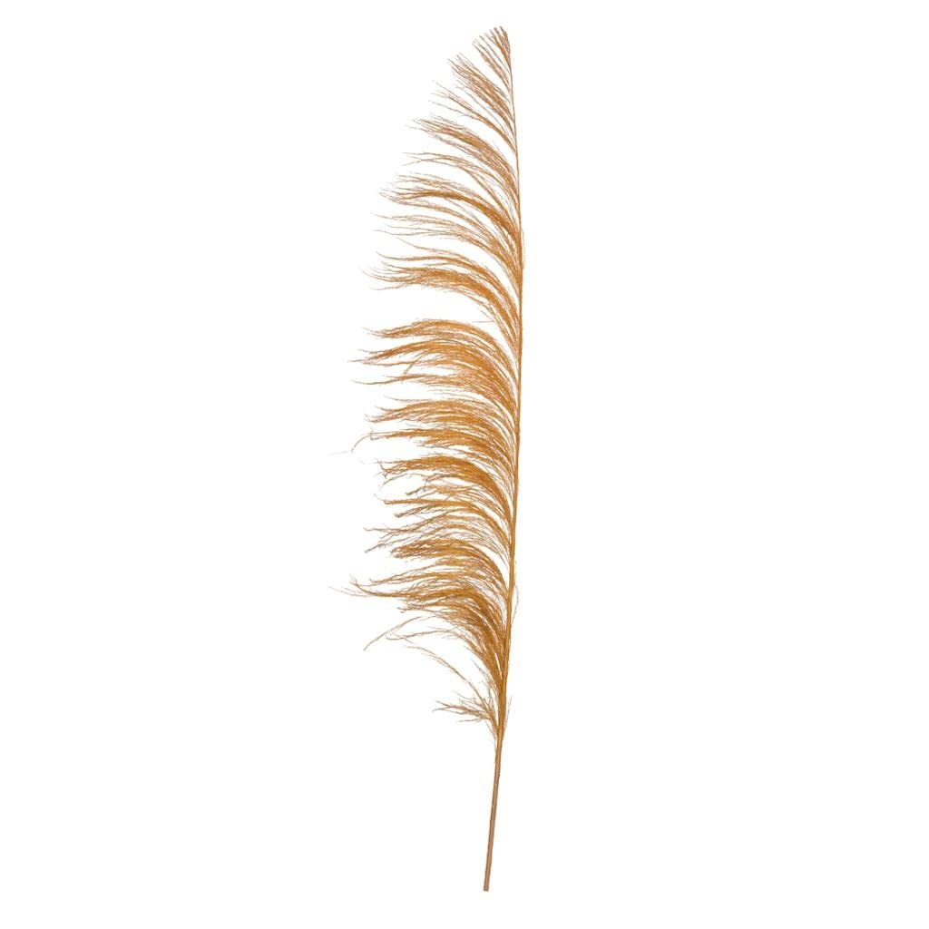 Vickerman 688175-60-72" Aspen Gold Uva Palm Spray 10/Bu (H2Uva725) Dried And Preserved Palms