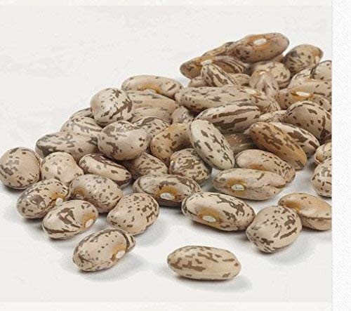 Camellia Brand Dried Pinto Beans, 1 Pound (Pack Of 6)