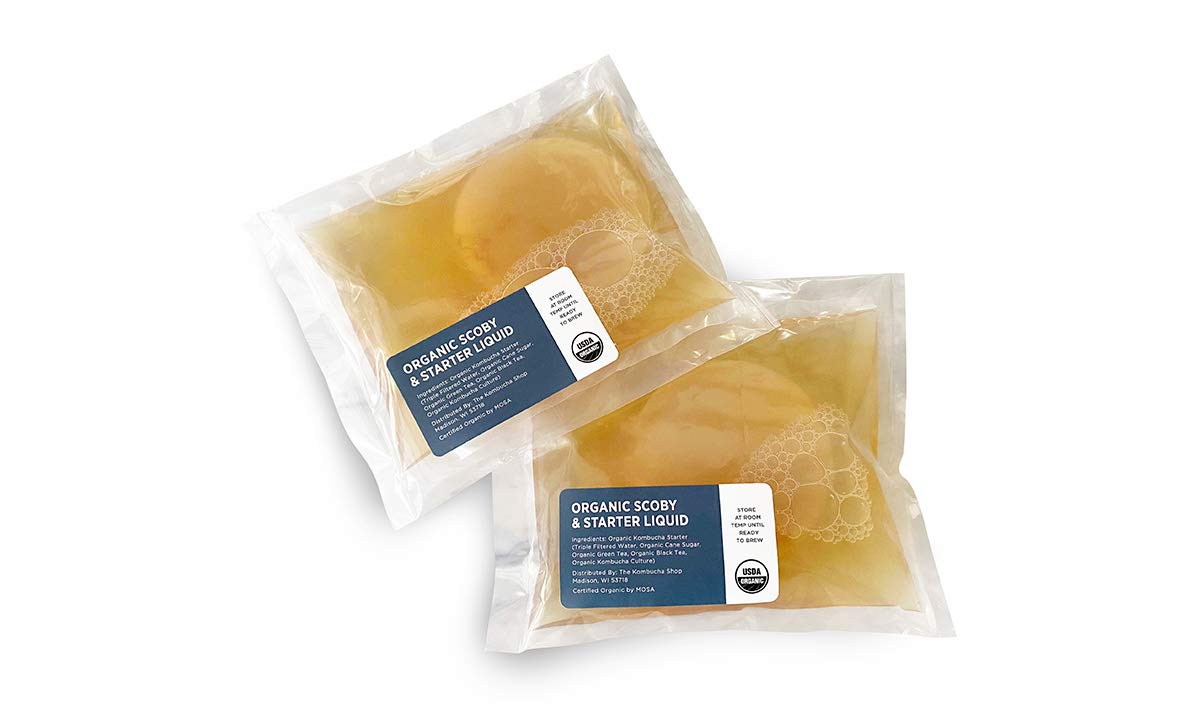 Organic Scoby 2-Pack | Kombucha Starter Kit With Live Culture For Brewing Kombucha Tea - Urban Kitchen