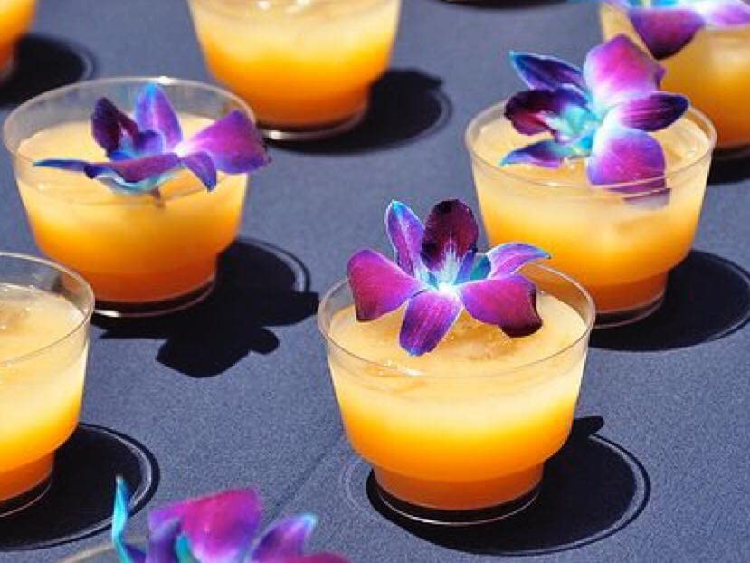 Sunne Tropical Fresh Orchid Loose Bloom Flowers 100 Blue, Model: orchidclub-bloom, Perfect for DIY Leis & Decorations