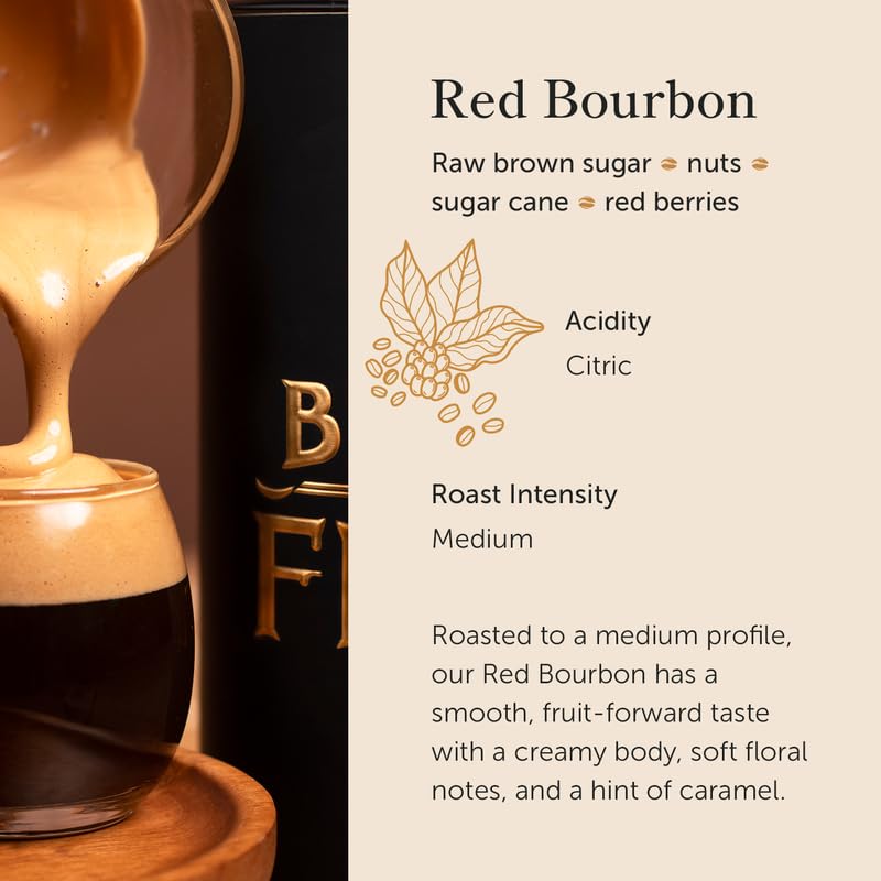 Bean of Fire Medium Roast Ground Coffee - El Salvador Red Bourbon Honey, Smooth & Fruity, 16 oz