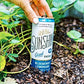 Sunshine Beverages - Soda Bluberry Lemonade - Case of 12-12 FZ (12x12 FZ)