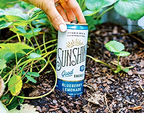 Sunshine Beverages - Soda Bluberry Lemonade - Case of 12-12 FZ (12x12 FZ)