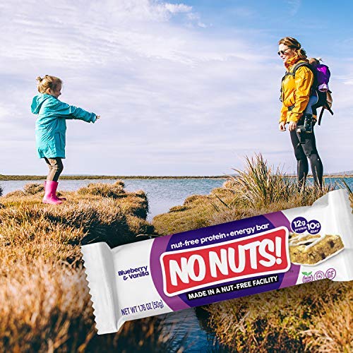 No Nuts! Vegan Protein Bars, 100% Nut Free, Blueberry & Vanilla, 12 Count