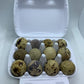 Fresh Quail Eggs(24)