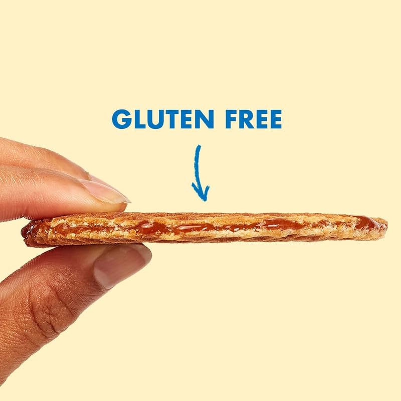 Rip Van Wafels Gluten-Free Stroopwafel - Dutch Caramel & Vanilla Stroopwafels Healthy Snacks Non-GMO Low Sugar (6g) Calorie, 12