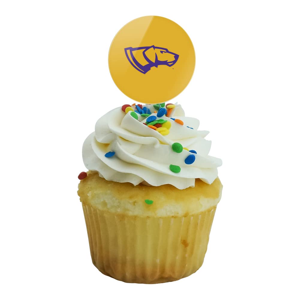 University Of Wisconsin-Stevens Point Secondary Logo Cupcake Picks Toppers Decoration Set Of 6