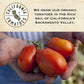 Muir Glen Organic Pizza Sauce, 15 Oz. (Pack Of 12)