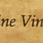 Domaine des Vignes Vinegar Grande Champagne, 16.9 Fl Oz (Pack of 1)