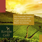 Kericho Gold Black Tea - Orange Pekoe - Rich in Antioxidants - 100 Envelopes (Pack of 1)