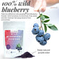 powbab Wild Blueberry Powder, 100% Whole Wild Blueberries, 70 g (2.5 oz), Non-GMO, Not Freeze Dried, Pure Fruit Powder