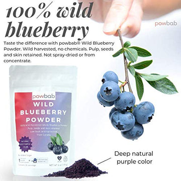 powbab Wild Blueberry Powder, 100% Whole Wild Blueberries, 70 g (2.5 oz), Non-GMO, Not Freeze Dried, Pure Fruit Powder