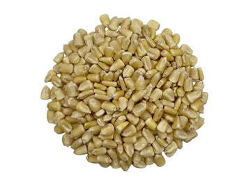 White Corn (Maiz Blanco) - Dried Whole Kernels - Product of Sinaloa, Mexico | 20lb.