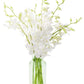 KaBloom Flowers - Mothers Day Collection - 20 White Orchid with vase  Gift for Birthday  Sympathy  Anniversary  Get Well  Thank You  Valentine  Mothers Day Fresh Flowers