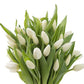 Kabloom Flowers -Valentine'S Day Collection - 20 White Tulips Without Vase, Gift For Birthday, Sympathy, Anniversary, Get Well,