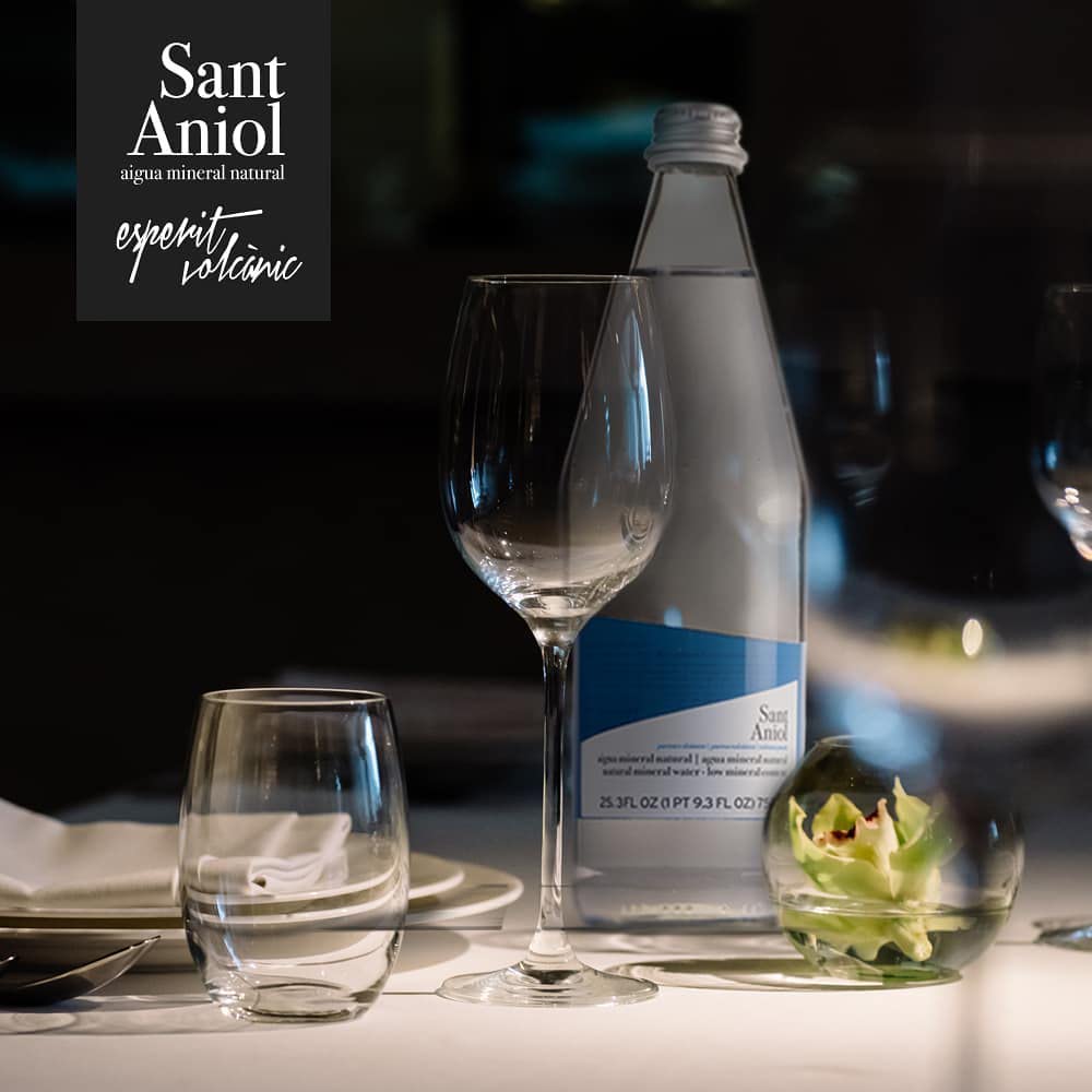 Sant Aniol Natural Mineral Water, 750 ml, 15 Glass Bottles, 25.36 Fl Oz per Pack
