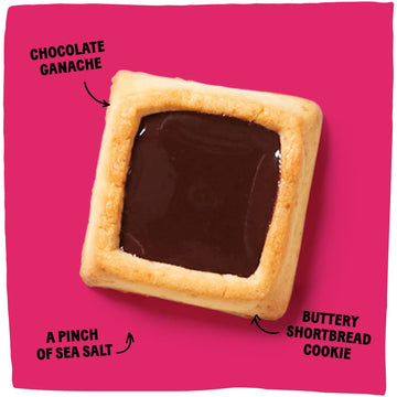 Michel et Augustin Gourmet Chocolate Cookie Squares | Dark Chocolate & Sea Salt | Individually Wrapped European Cookies | 15 Fre