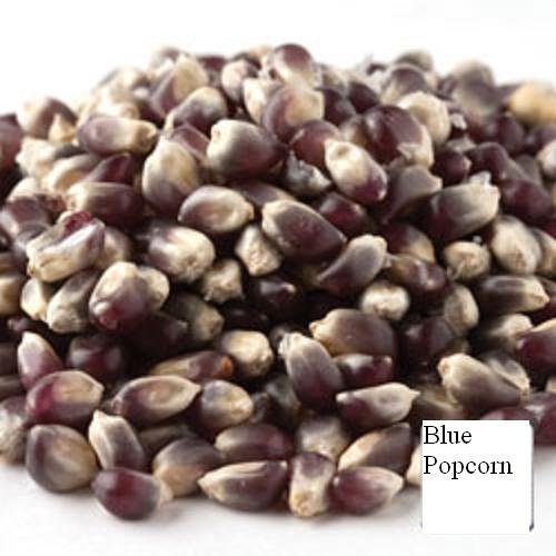 Jellybean Foods Unpopped Popcorn Kernels - 4 LB (64 Ounce) - Blue Color