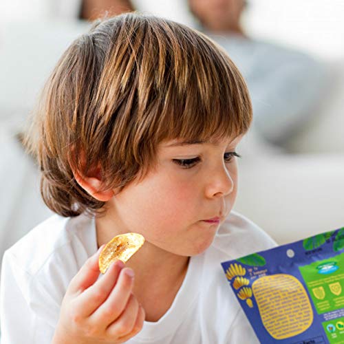 Banana Joe Banana Chips, Gluten Free Vegan Snacks, 1.65 oz Pack of 6