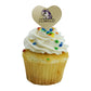 GRAPHICS & MORE Cupcake Picks Set of 6 - Acrylic Heart Love Toppers - Albion College