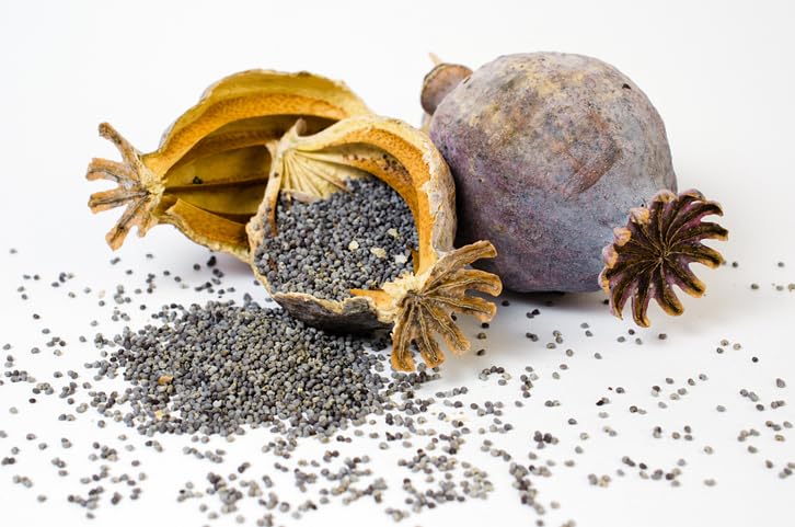 Us Snacks - Premium Quality Whole Poppy Seeds, Nutritious And Flavorful, Enhance Your Recipes With Natural Flavor, Rich In Nutri