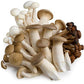 Ri Mushroom Co, Mushroom Chef Medley Organic, 8 Ounce