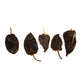 1Lb Mulato Chile, Fully Mature Poblanos, Dried Chili Peppers For Cooking By 1400S Spices