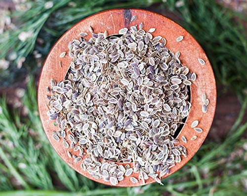 Food To Live - Dill Seeds Whole, 8 Ounces Kosher, Raw, Vegan, Bulk