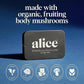 Alice Nightcap 2-Pack Functional Mushroom Chocolates, Supports Deep Sleep, Cream, 3.68 inches