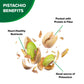 Hampton Farms - Usa Grown Gourmet Nuts - Salted In-Shell Pistachios - 10 Oz. Canisters - 2 Pack
