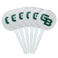 University of Wisconsin - Green Bay Secondary Logo Cupcake Picks Toppers Decoration Set of 6