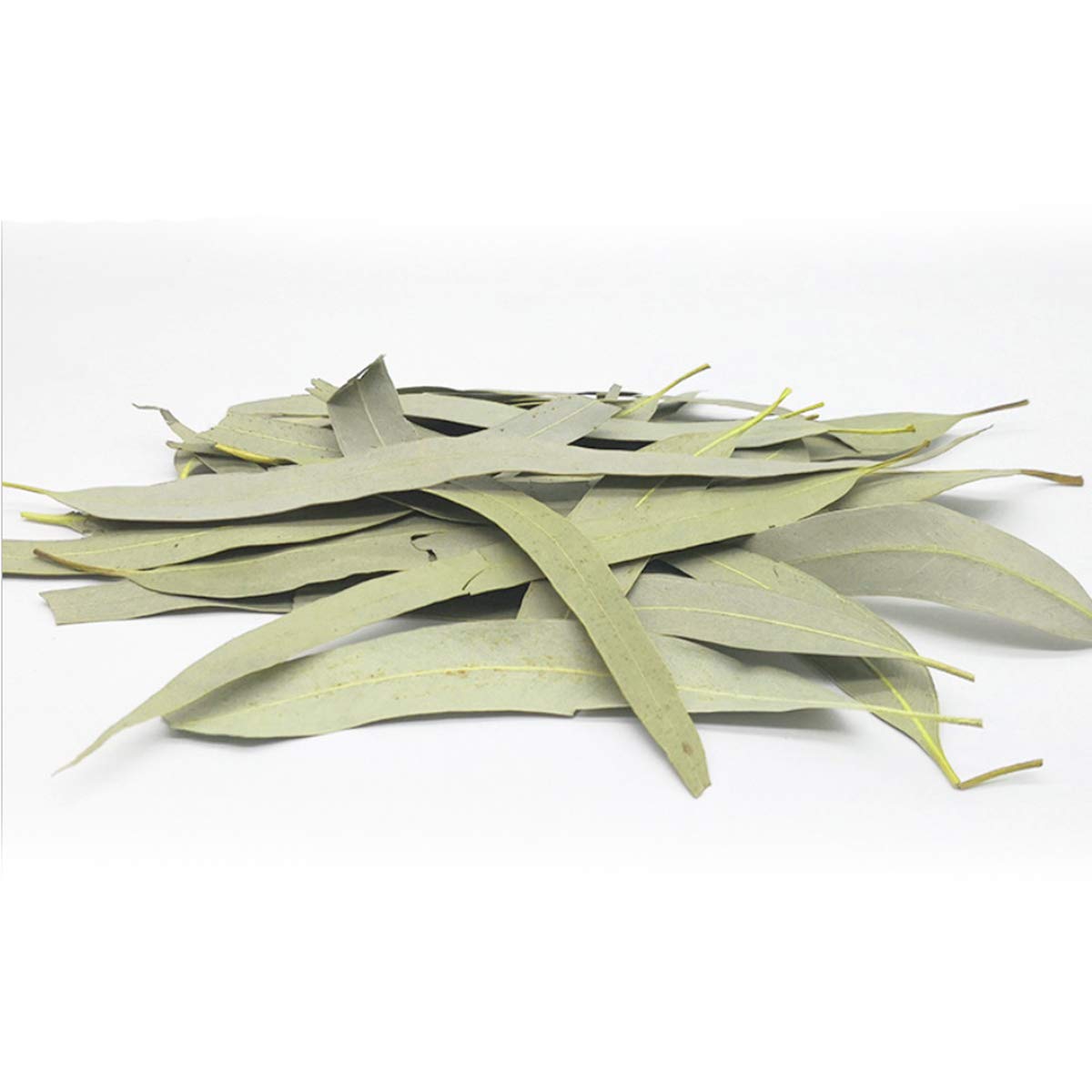 Whole Eucalyptus Leaves, Natural Eucalyptus Herb Leaves, 114G (4.0 Oz)
