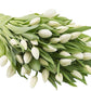 KaBloom PRIME OVERNIGHT DELIVERY - WEDDING COLLECTION - PREMIUM 50 White Tulips - Wholesale Fresh Flowers I Gift for Birthday, A