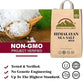 Himalayan Chef Sea Salt, Coarse Grain, 640 Ounces Mineral Salt, Pure & Natural Sun Dried Sea Salt, Unrefined, Gluten Free, Grind