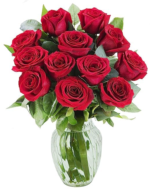 KaBloom Flowers - Mother's Day Collection - 12 Red Roses with vase, Gift for Birthday, Sympathy, Anniversary, Get Well, Thank Yo