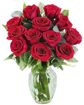 KaBloom Flowers - Mother's Day Collection - 12 Red Roses with vase, Gift for Birthday, Sympathy, Anniversary, Get Well, Thank Yo