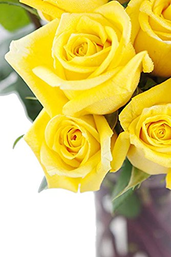 Kabloom Flowers - Valentine Collection - Yellow Sunshine Bouquet Of 6 Fresh Cut Yellow Roses Without Vase - Gift For Birthday, Valentine, Mother’S Day Fresh Flowers
