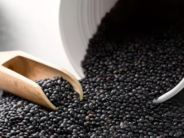 Whole Black Lentils | Urad Dal | By Dasher'S Spice & Beans | 8 Lb