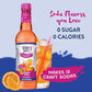 Jordans Skinny Mixes Sugar Free Syrup  Orange Soda Flavor  Fruit Flavored Water Enhancer  Drink Mix for Iced Tea  Lemonade  Drinks  Low Calorie Water Flavoring  Dairy & Gluten Free Kosher  25.4 Fl Oz