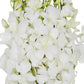 KaBloom PRIME NEXT DAY DELIVERY - WEDDING COLLECTION - 40 White Orchids Cut-to-Order  and Homegrown in the USA). I Gift for Birthday  Anniversary  Thank You  Mothers Day Fresh Flowers.