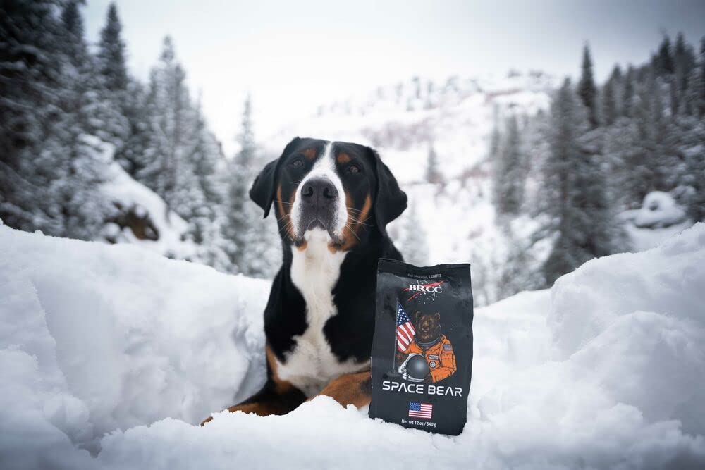 Black   Coffee Ground Light Roast, Space Bear, 12 Ounce, Model 30-088-12G