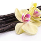 Wild Foods Organic Vanilla Bean Powder | All Natural Pure Vanilla Beans From Madagascar | Wild Powder For Iced Coffee, Baking & Smoothie Blended Drinks | Unsweetened Gluten Free Powdered Mix | (3 Ounce)