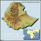 Ethiopian Yirgacheffe Green Unroasted Coffee Beans 1 Pound