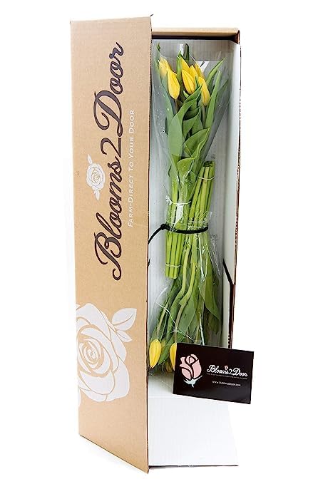 Kabloom Prime Overnight Delivery - Wedding Collection - Premium 20 Yellow Tulips. Gift For Birthday, Sympathy, Anniversary, Get