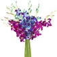 KaBloom Flowers - Mother's Day Collection - 5 Blue and 5 Purple Orchid without vase, Gift for Birthday, Sympathy, Anniversary, G