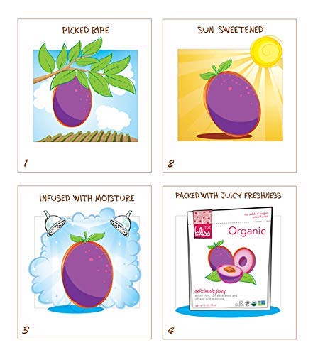 Fruit Bliss Dried Fruit Mix - Fruit Medley of Organic, Dried & Pitted Apricots, Plums & Figs - Organic Fruit Snacks, Dried Fruit